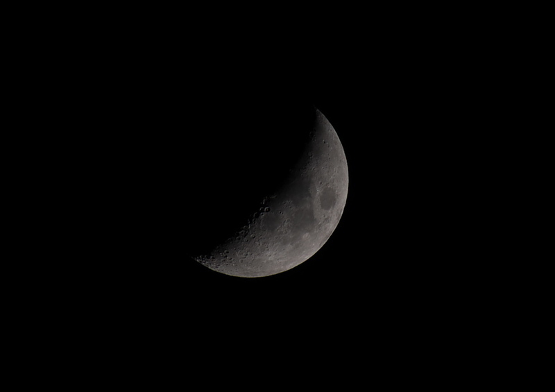 IMG_7346.jpg