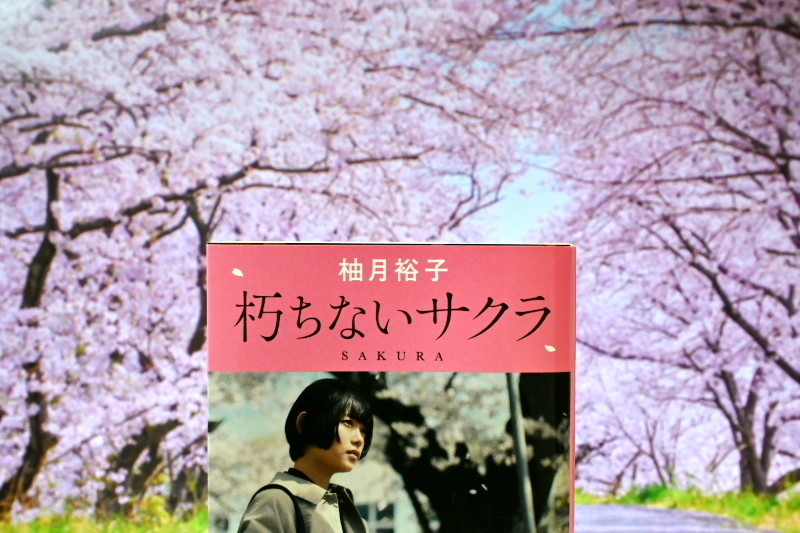 SS_0467.jpg