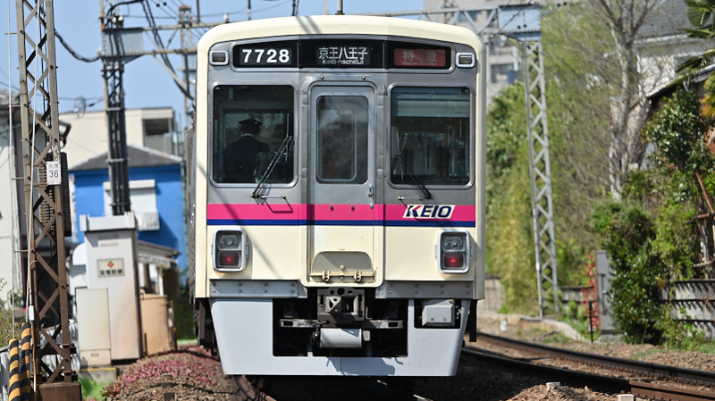 ニコン vs シグマ 100-400 AF追従対決: 写真ときどき文庫本 ニコン vs シグマ 100-400 AF追従対決: 写真ときどき文庫本